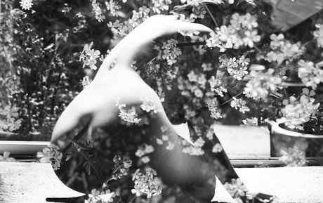 Katevmodel art pornstar photo