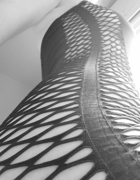 Tasty tart123 star high quality picture