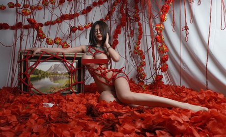 DeerWhite_ star pretty photos