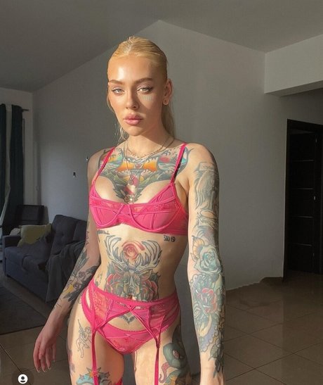 Aurajoutsenlampi nice model images