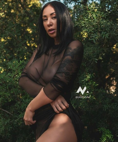 La tiguerita star pretty img