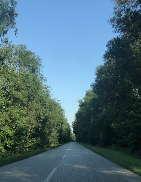 Nikki Irish nude star galleries