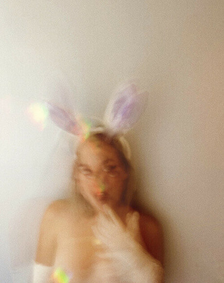 Wretched Wren model adult img