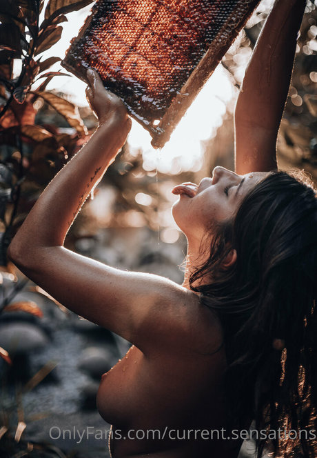 trans xxx onlyfans free xxx archive