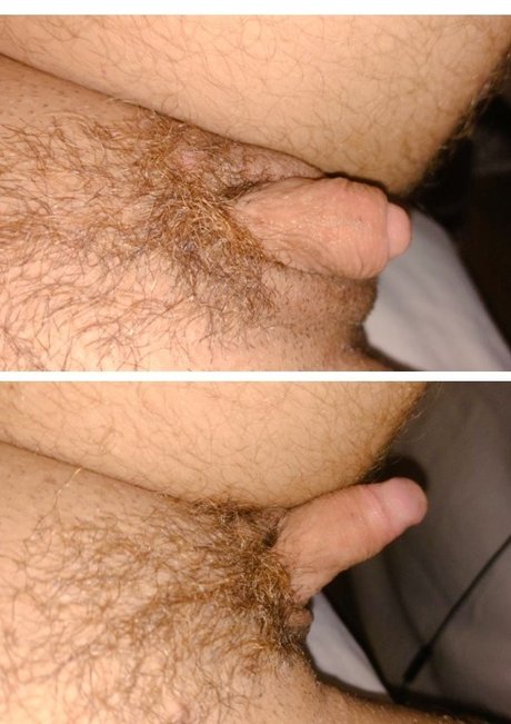 Maria Greluda adult star archive