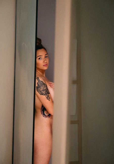 Torias Secret nude pornstar photos