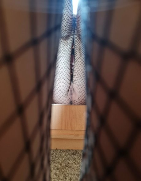 Only nicky pornstar adult photos