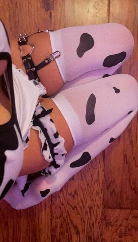 Abbxster hd model archive