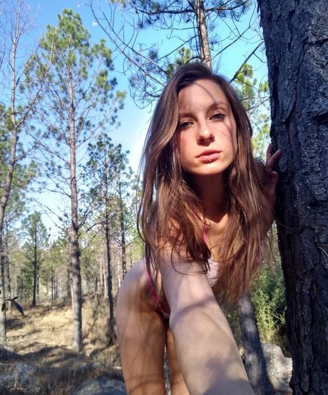 Tamifruit star nice galleries