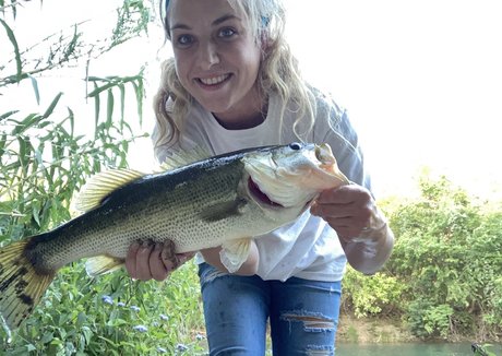 bubblerainbow3 pornographic star archive