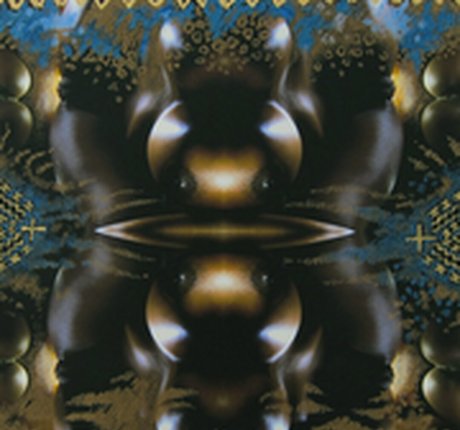 Felina Wood pretty star images