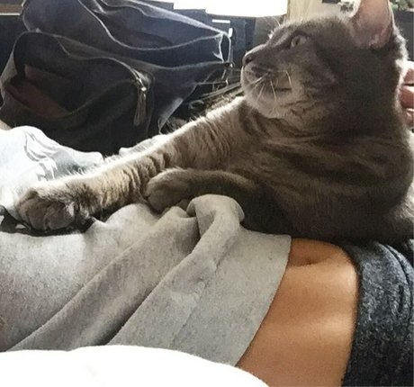 twomgovercsquared sexy star img