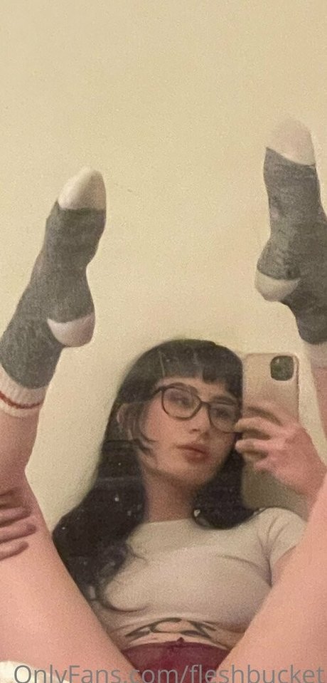 Fleshbucket model art img