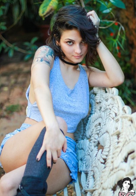 gabssg perfect star galleries