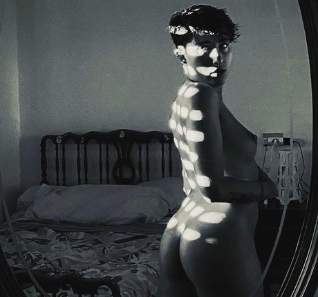 Laubrasil star picture