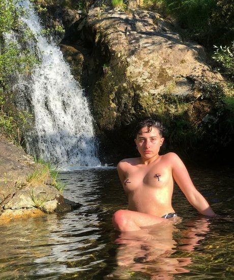 Laubrasil top pornstar galleries