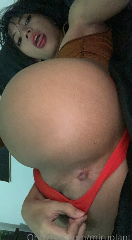 miruplanttt model top picture