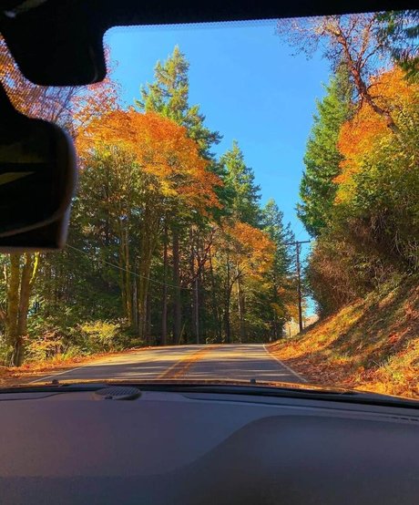 goth trans onlyfans sexy nude archive