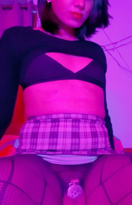 KwitTrap nice model images