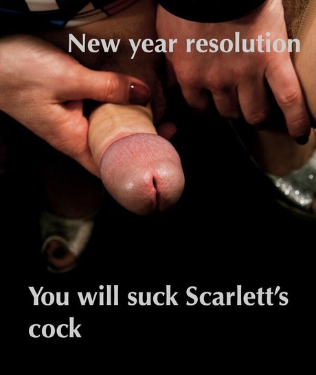 Scarlett OHarder xxx star gallery