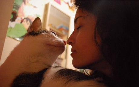 Kafkanya sexy star picture