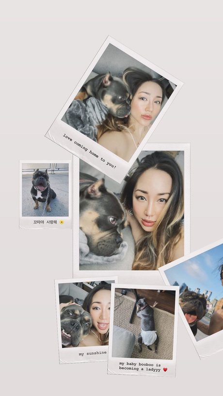 Dajin naked actress pic