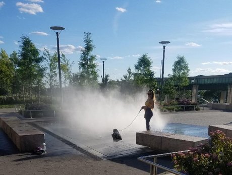 Dajin hot model picture