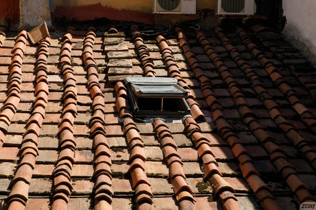 Aurora Mineo_ star top gallery