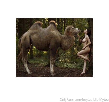 lmytee pornstar xxx archive