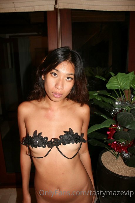 Tasty Maze VIP beautiful model galleries