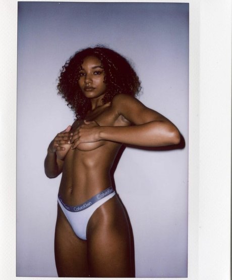 KVLCV best model images