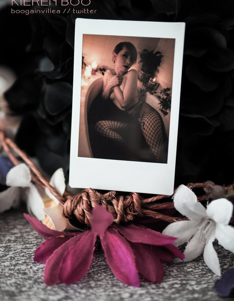 Boogainvillea model hd images