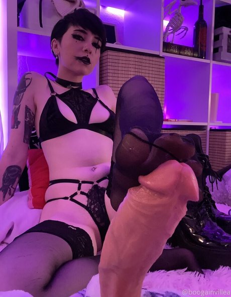 Boogainvillea star art img