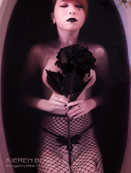 Boogainvillea porn star gallery