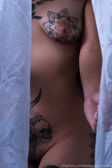 Dakota Wilder star nice archive