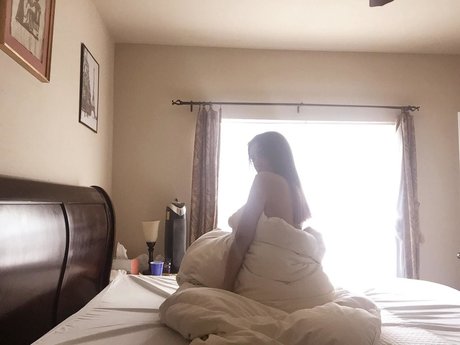 Tania Ivette_ pornstar archive