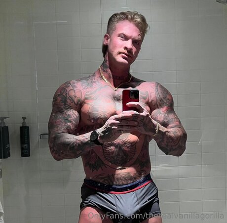 Therealvanillagorilla adult model pic