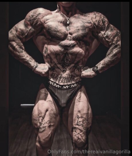 Therealvanillagorilla exclusive model archive