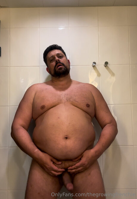 Thegrowingfrenchie star free pictures