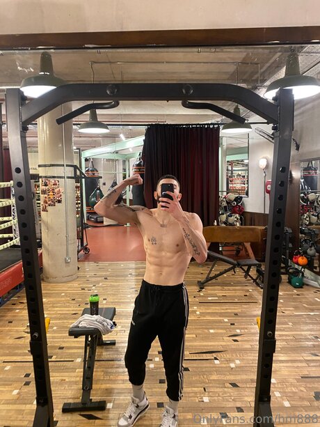 Hm888 art star gallery