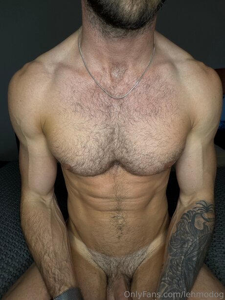 Lehmodog best model pic