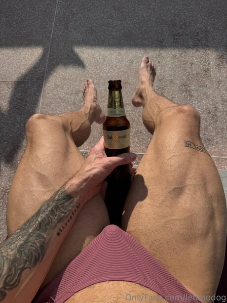 Lehmodog top model images