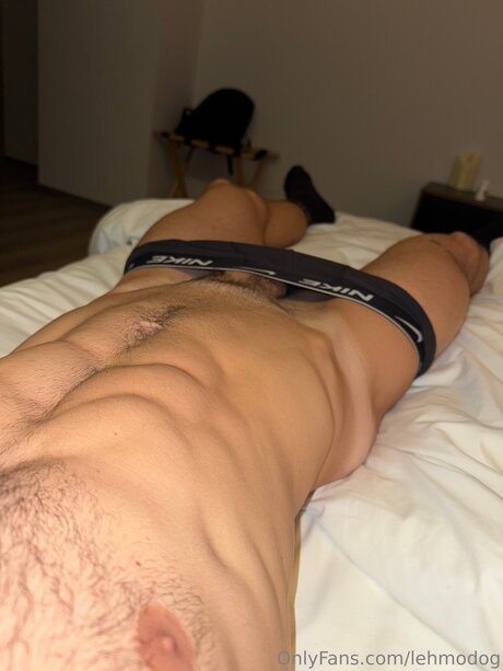 Lehmodog star pretty photo