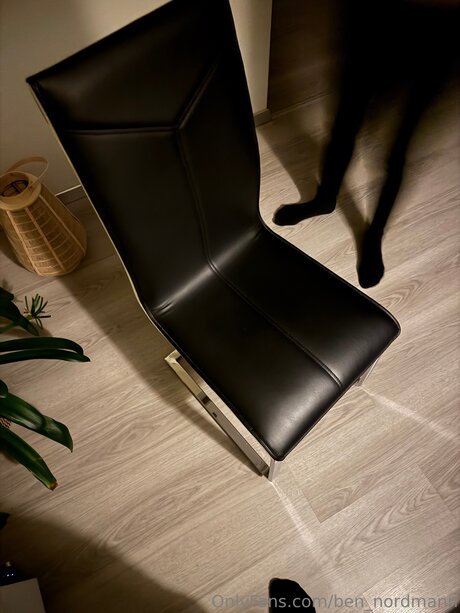 Ben Nordmann best model archive