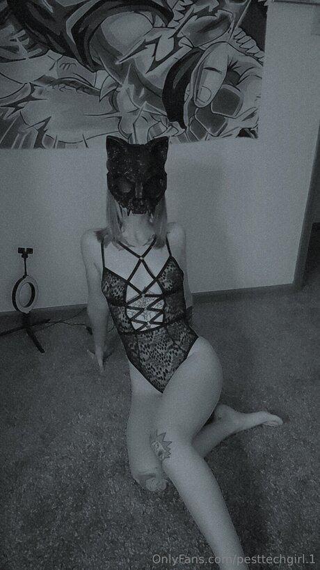 Pesttechgirl 1 pretty star img