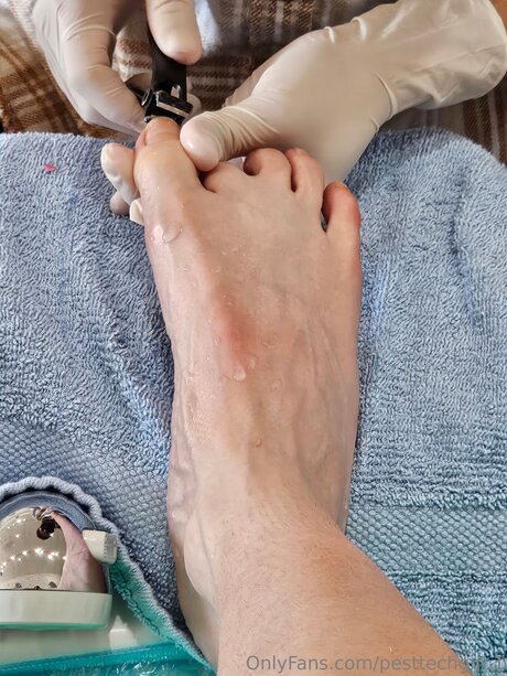 Pesttechgirl 1 erotic model pics