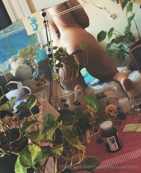 Ambrosiasweetie star hd pictures