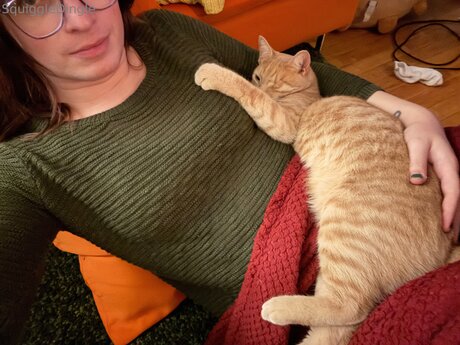 Squiggledingle star sexy gallery