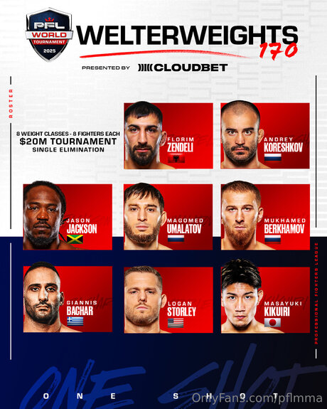 Pflmma perfect model image