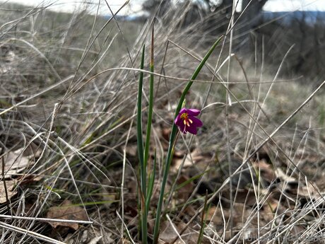 Billabongbandaid model naked pictures